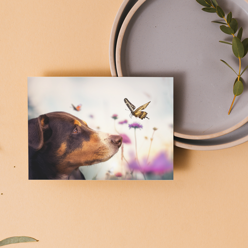 Dog and Friend gift cards