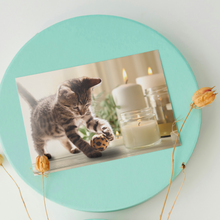 Load image into Gallery viewer, Cat and Candles gift cards