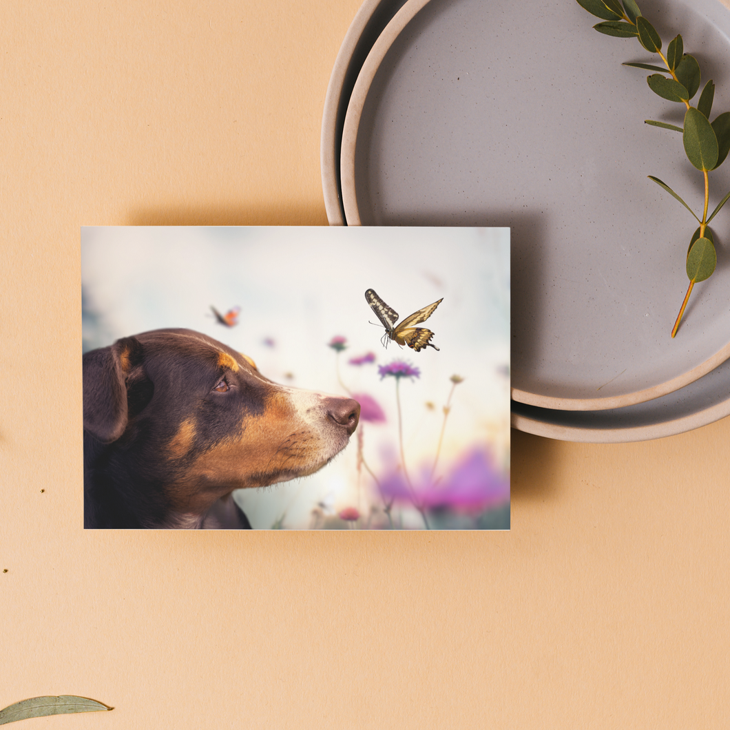 Dog and Friend gift cards